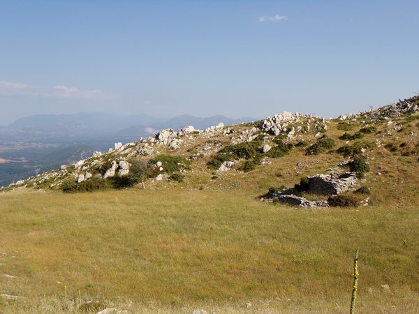 Trail of Rhea scenery