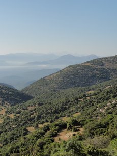 Trail of Pan_scenic