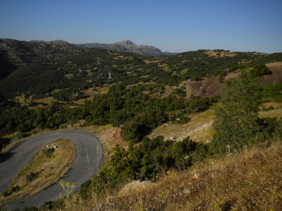 Trail of Pan_road