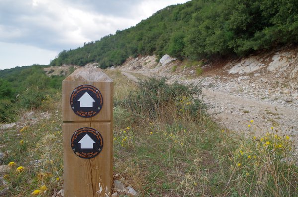 Trail of Zeus_sign and flowers