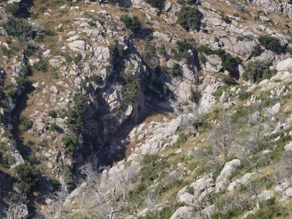 Trail of Rhea building